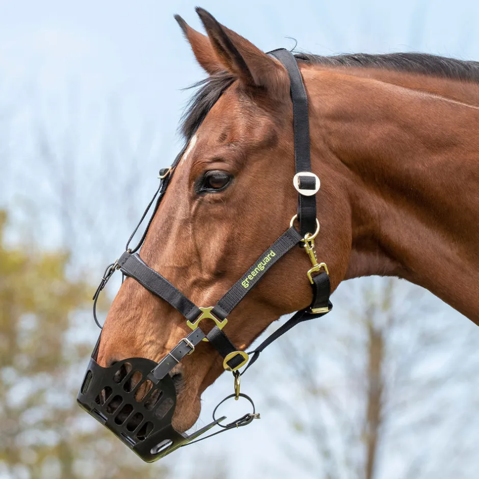 Shires Equestrian Greenguard Muzzle
