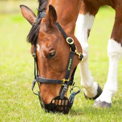 Shires Equestrian Greenguard Muzzle