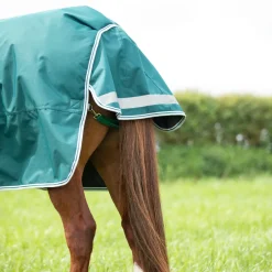 Shires Equestrian Highlander Original 300 Turnout Rug