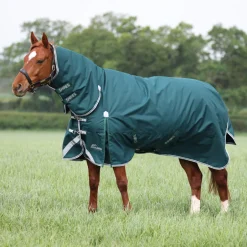 Shires Equestrian Highlander Original 300 Turnout Combo Rug