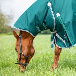Shires Equestrian Highlander Original 300 Turnout Combo Rug