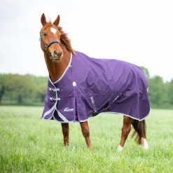Shires Equestrian Highlander Original 100 Turnout Rug