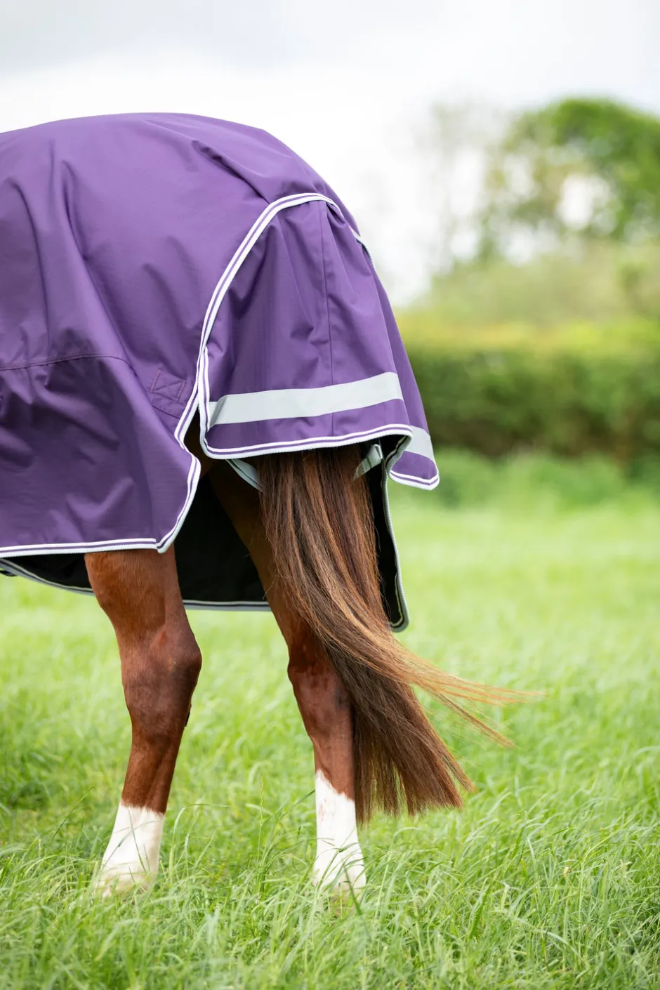 Shires Equestrian Highlander Original 100 Turnout Rug
