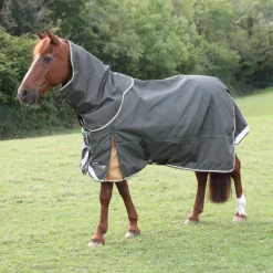 Shires Equestrian Highlander Plus 50 Turnout Neck Cover