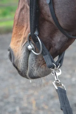 Shires Equestrian Lunging Adapter