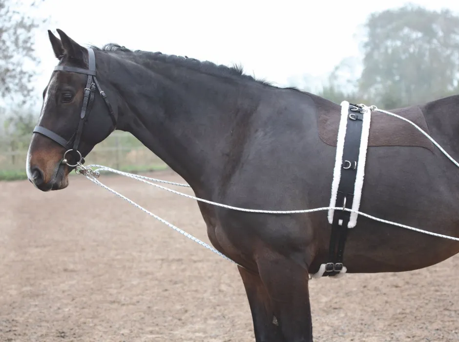 Shires Equestrian Lunging Aid
