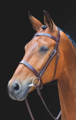 Shires Equestrian Salisbury Berrington Bridle