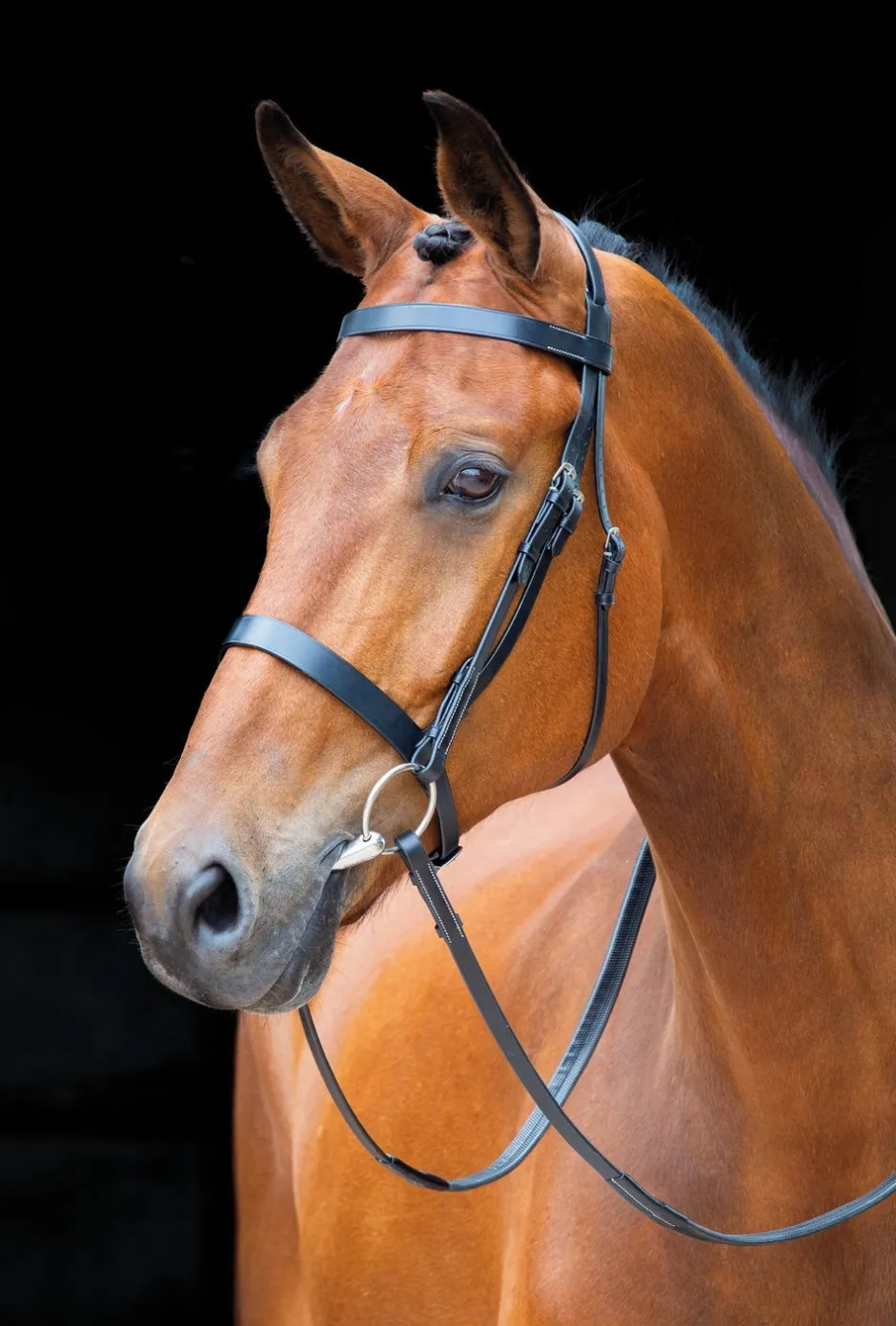 Shires Equestrian Salisbury Berrington Bridle