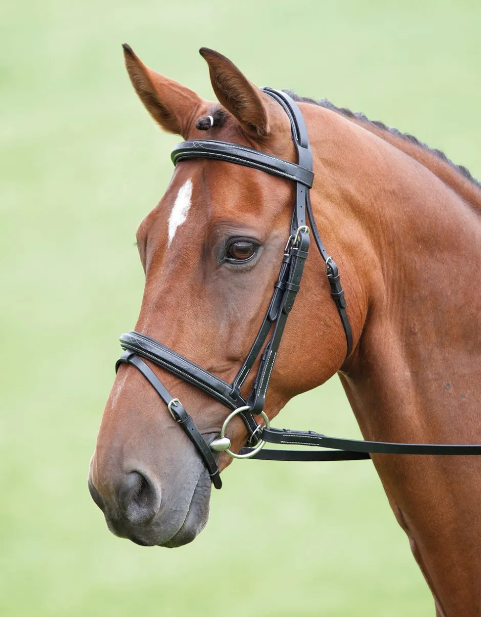 Shires Equestrian Salisbury Bodenham Bridle