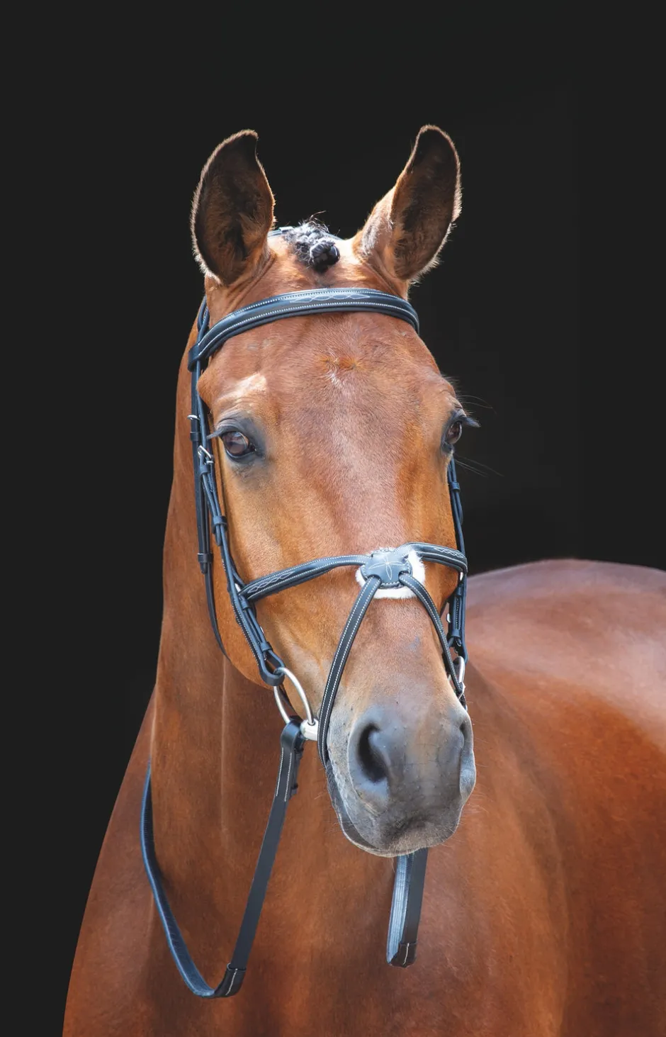 Shires Equestrian Salisbury Brackley Bridle