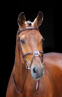Shires Equestrian Salisbury Brackley Bridle