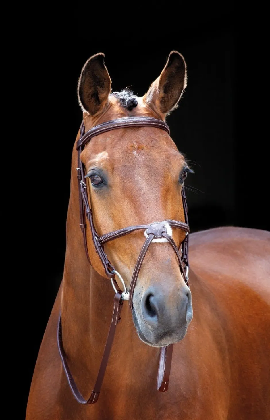 Shires Equestrian Salisbury Brackley Bridle