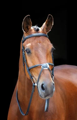 Shires Equestrian Salisbury Brackley Bridle