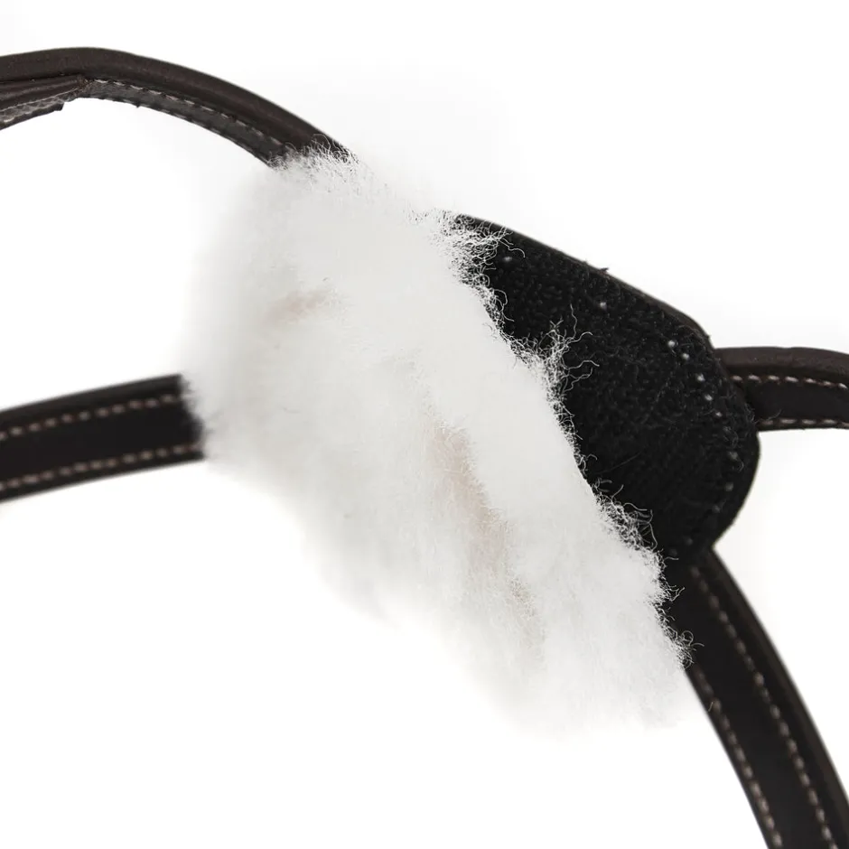 Shires Equestrian Salisbury Brackley Noseband