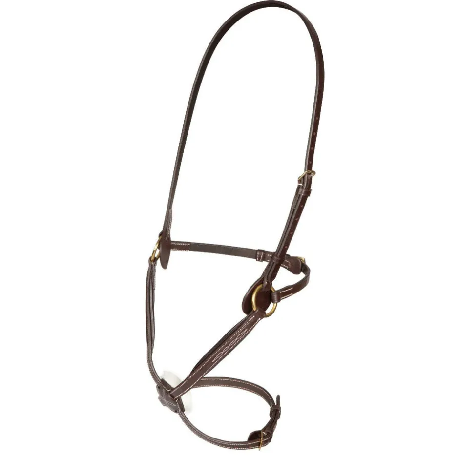 Shires Equestrian Salisbury Brackley Noseband