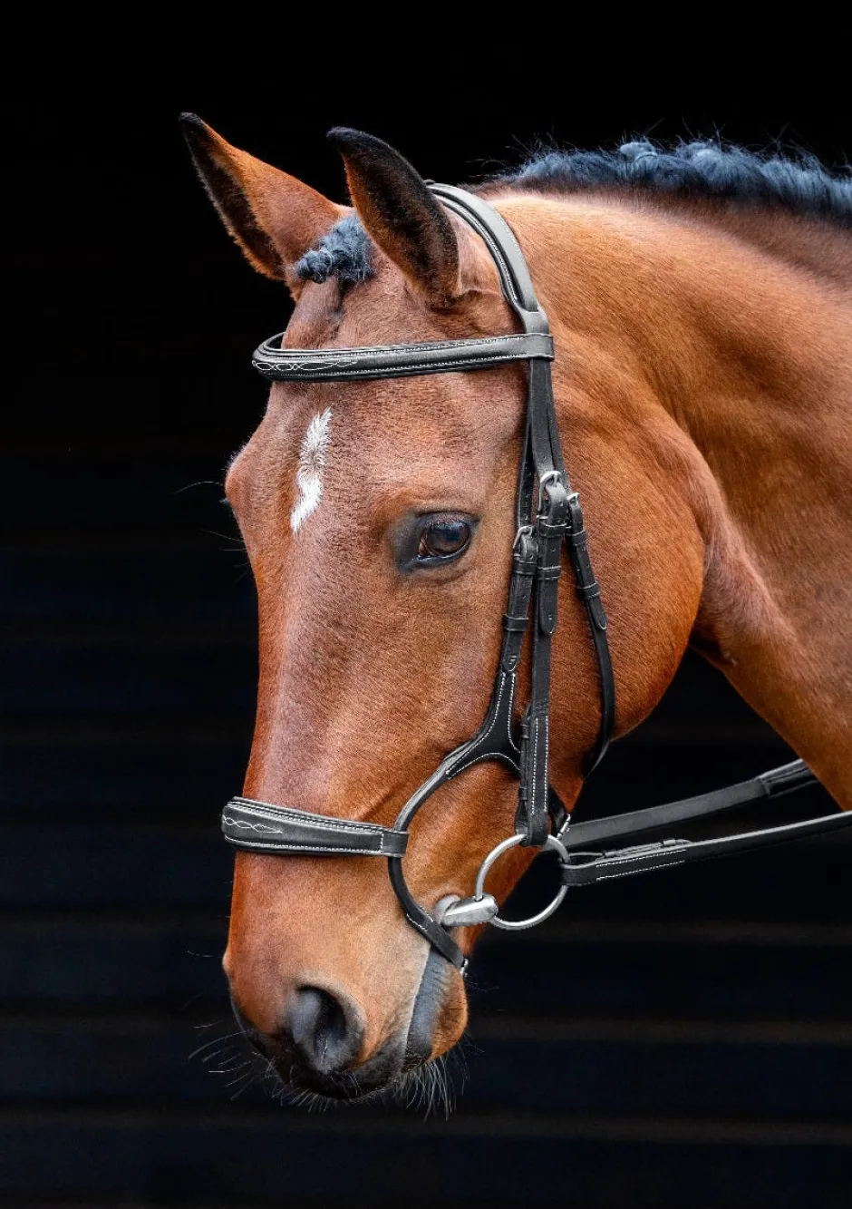 Shires Equestrian Salisbury Brampton Bridle
