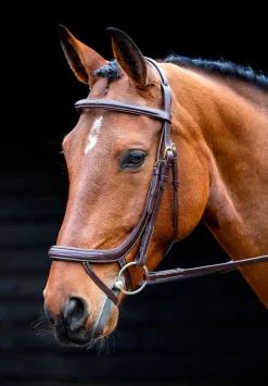 Shires Equestrian Salisbury Buckingham Bridle