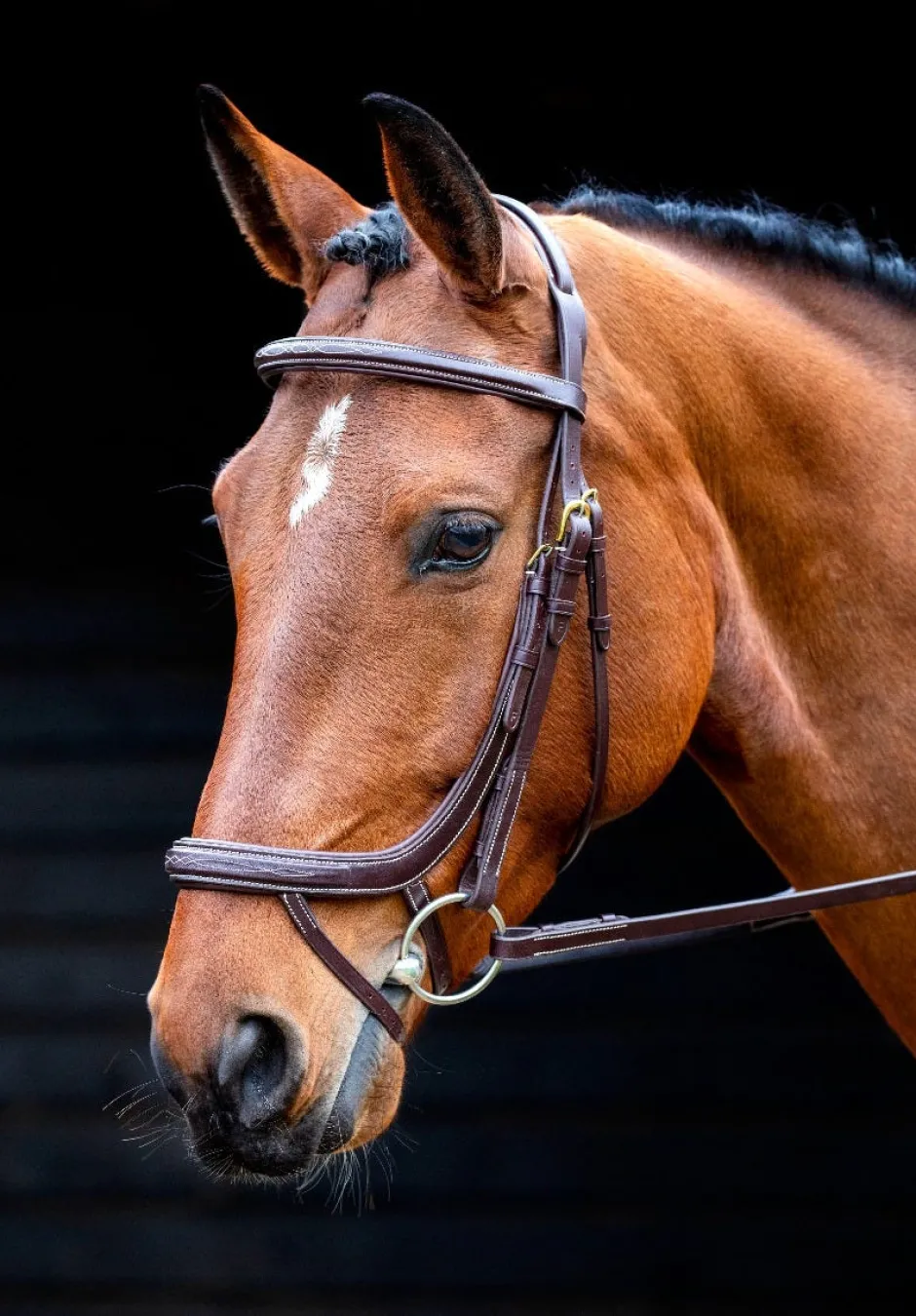 Shires Equestrian Salisbury Buckingham Bridle