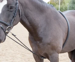 Shires Equestrian Soft Lunging Aid