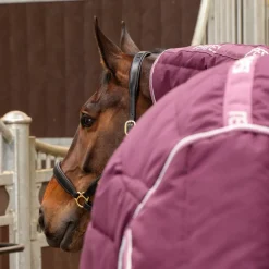 Shires Equestrian Tempest Original 300 Combo Stable Rug