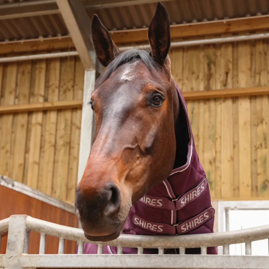 Shires Equestrian Tempest Original 300 Combo Stable Rug