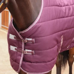 Shires Equestrian Tempest Original 300 Stable Rug