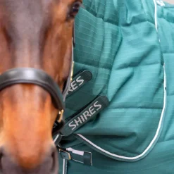 Shires Equestrian Tempest Original 200 Stable Rug & Neck