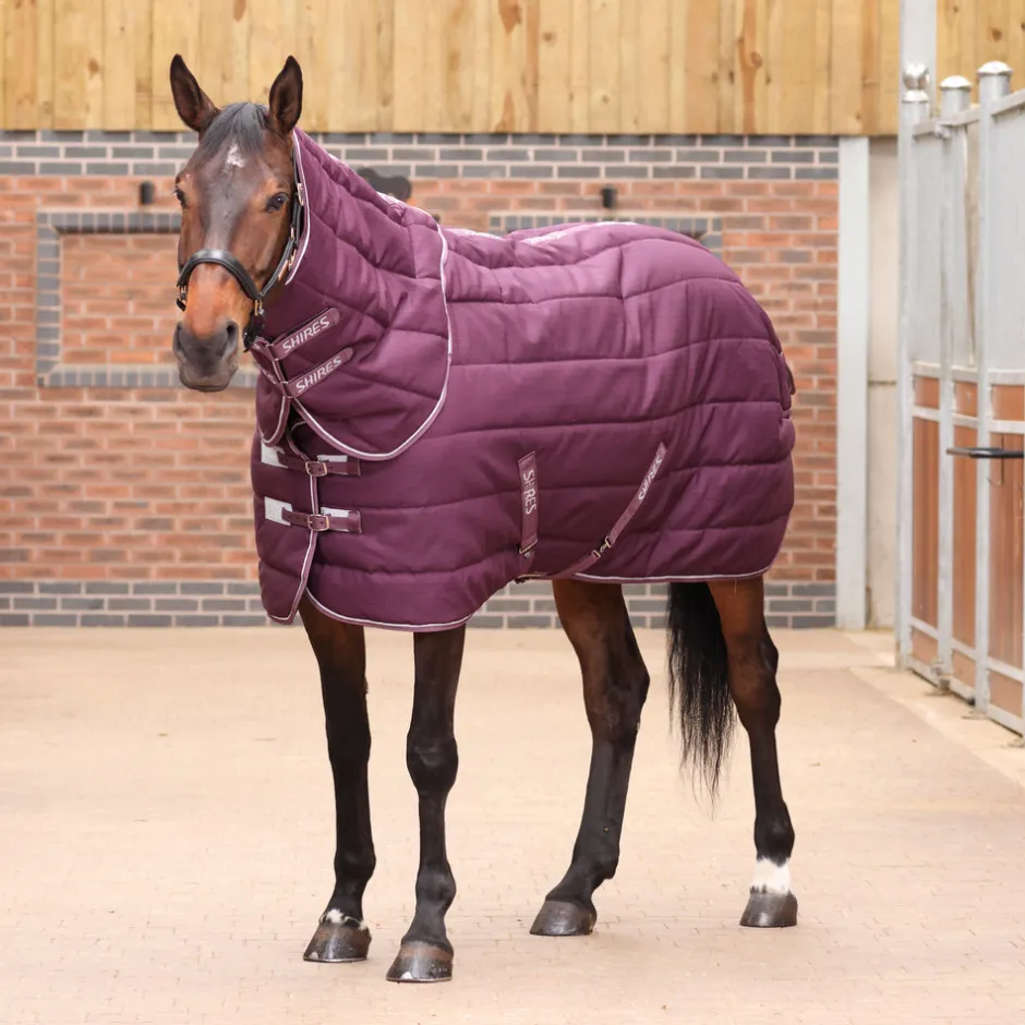 Shires Equestrian Tempest Original 300 Stable Rug & Neck