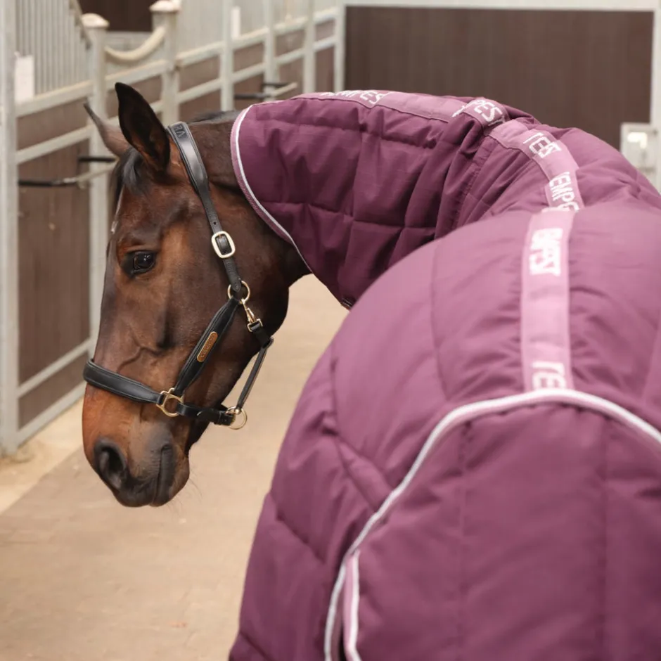 Shires Equestrian Tempest Original 300 Stable Rug & Neck