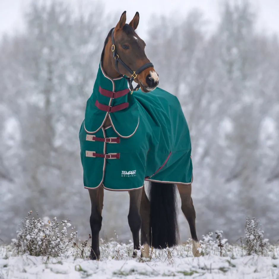 Shires Equestrian Tempest Original 200 Turnout Rug & Neck