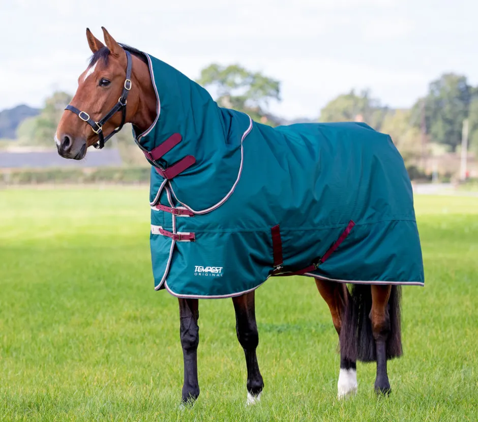 Shires Equestrian Tempest Original 200 Turnout Rug & Neck