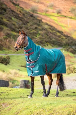 Shires Equestrian Tempest Original 200 Turnout Rug & Neck