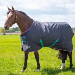 Shires Equestrian Tempest Original 300 Turnout Rug