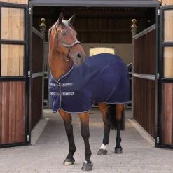 Shires Equestrian Tempest Original All-Season Air Motion Cooler