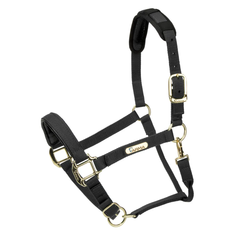 Shires Equestrian Topaz Nylon Headcollar