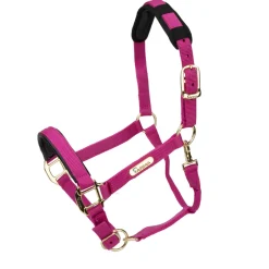 Shires Equestrian Topaz Nylon Headcollar
