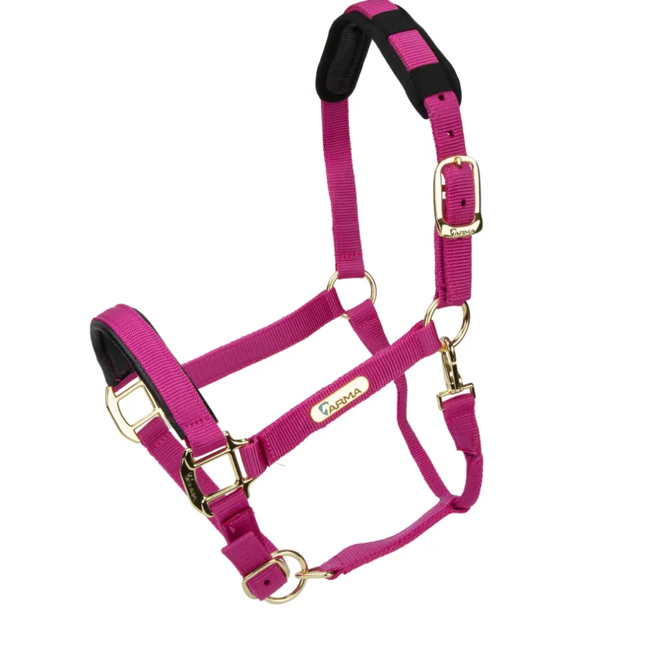 Shires Equestrian Topaz Nylon Headcollar