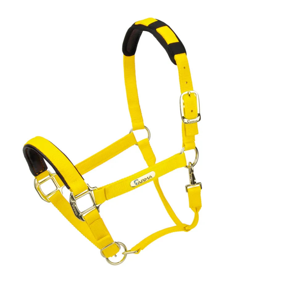 Shires Equestrian Topaz Nylon Headcollar