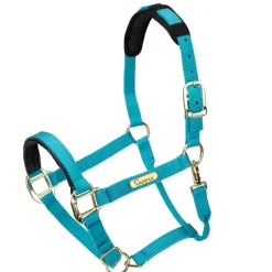 Shires Equestrian Topaz Nylon Headcollar
