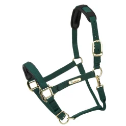 Shires Equestrian Topaz Nylon Headcollar