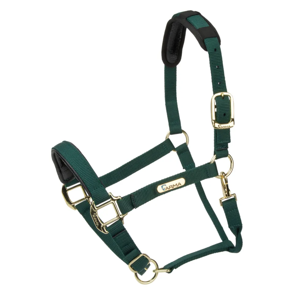 Shires Equestrian Topaz Nylon Headcollar
