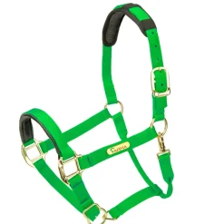 Shires Equestrian Topaz Nylon Headcollar