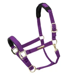 Shires Equestrian Topaz Nylon Headcollar