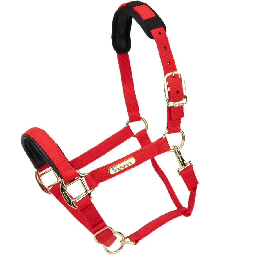 Shires Equestrian Topaz Nylon Headcollar