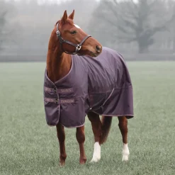 Shires Equestrian Typhoon 100 Turnout Rug