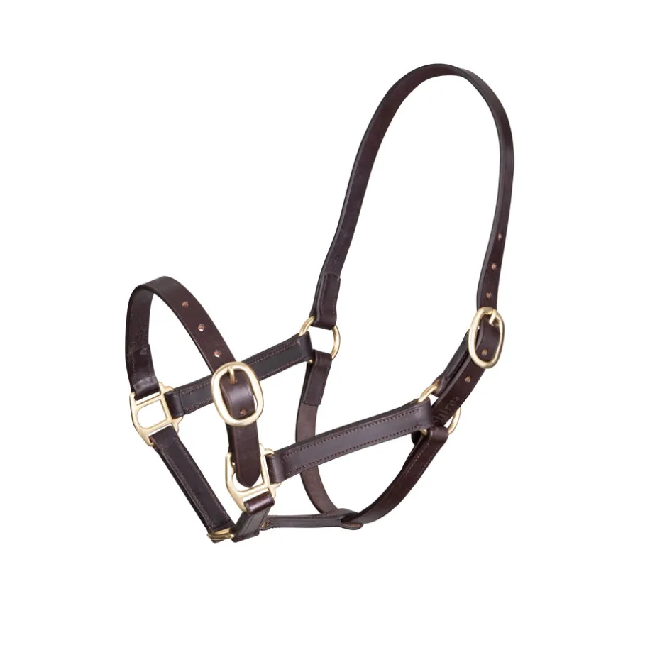 Shires Equestrian Velociti GARA Adjustable Leather Headcollar