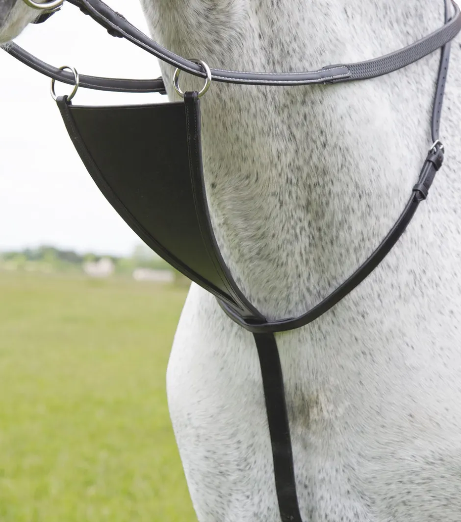 Shires Equestrian Velociti GARA Bib Martingale