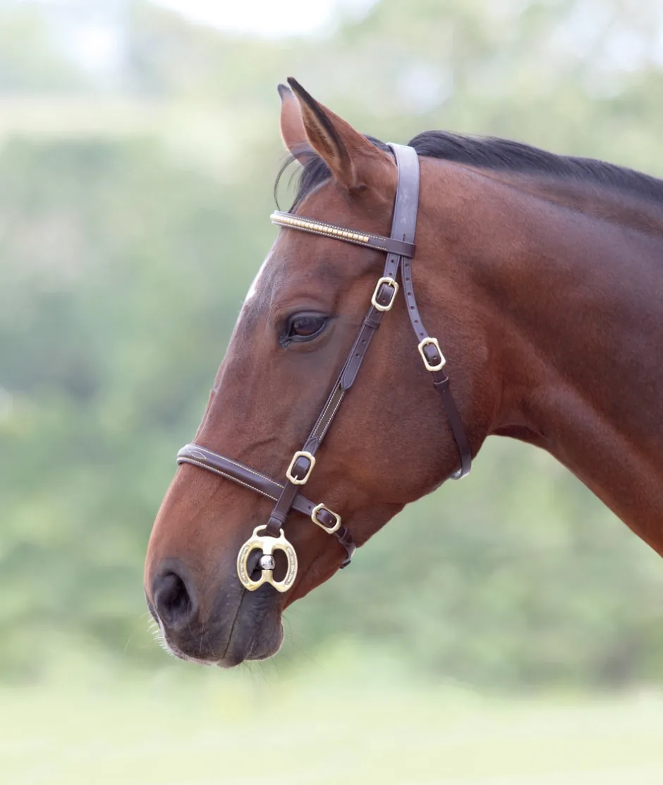 Shires Equestrian Velociti GARA Clincher Inhand Bridle