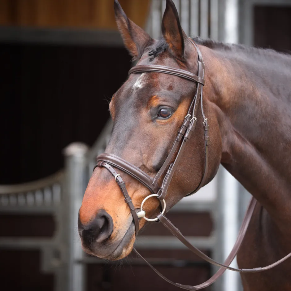 Shires Equestrian Velociti GARA Comfort Fit Bridle