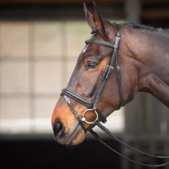 Shires Equestrian Velociti GARA Comfort Fit Bridle